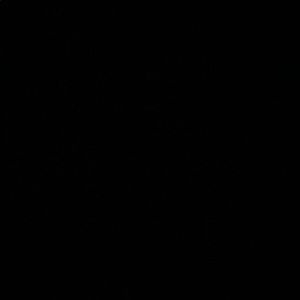 Meet your Posher, Camden